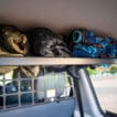 LC76 Barrier Shelf - Image 4